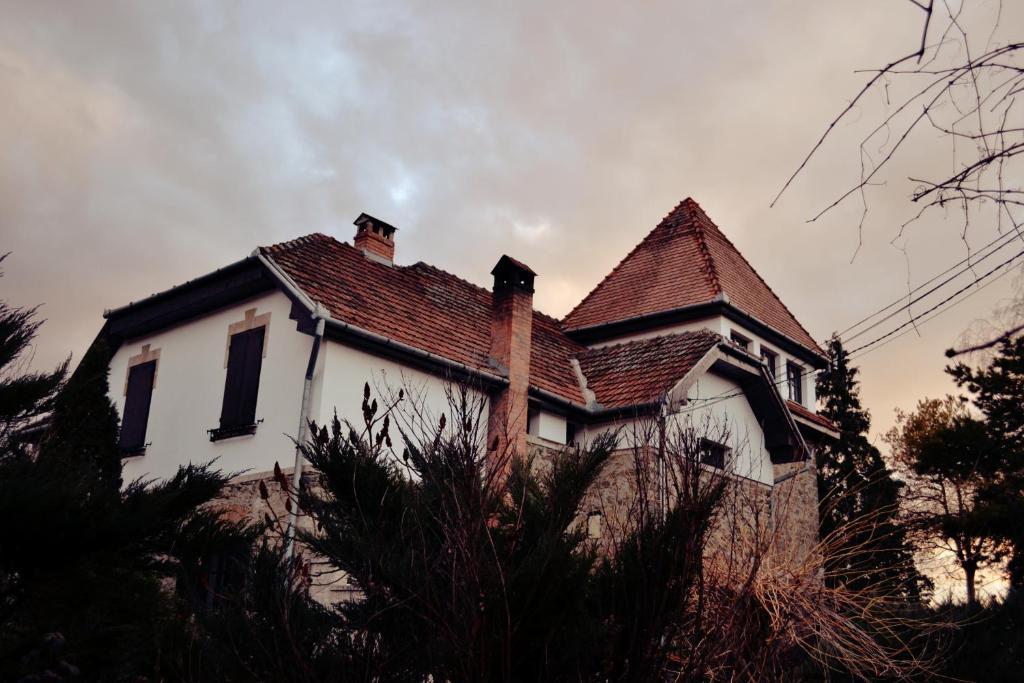 Villa Castelul Maria Banpotoc Eksteriør billede