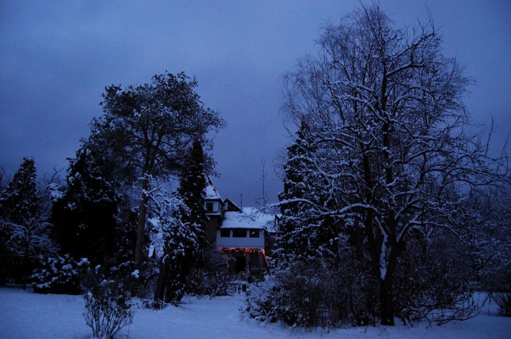 Villa Castelul Maria Banpotoc Eksteriør billede