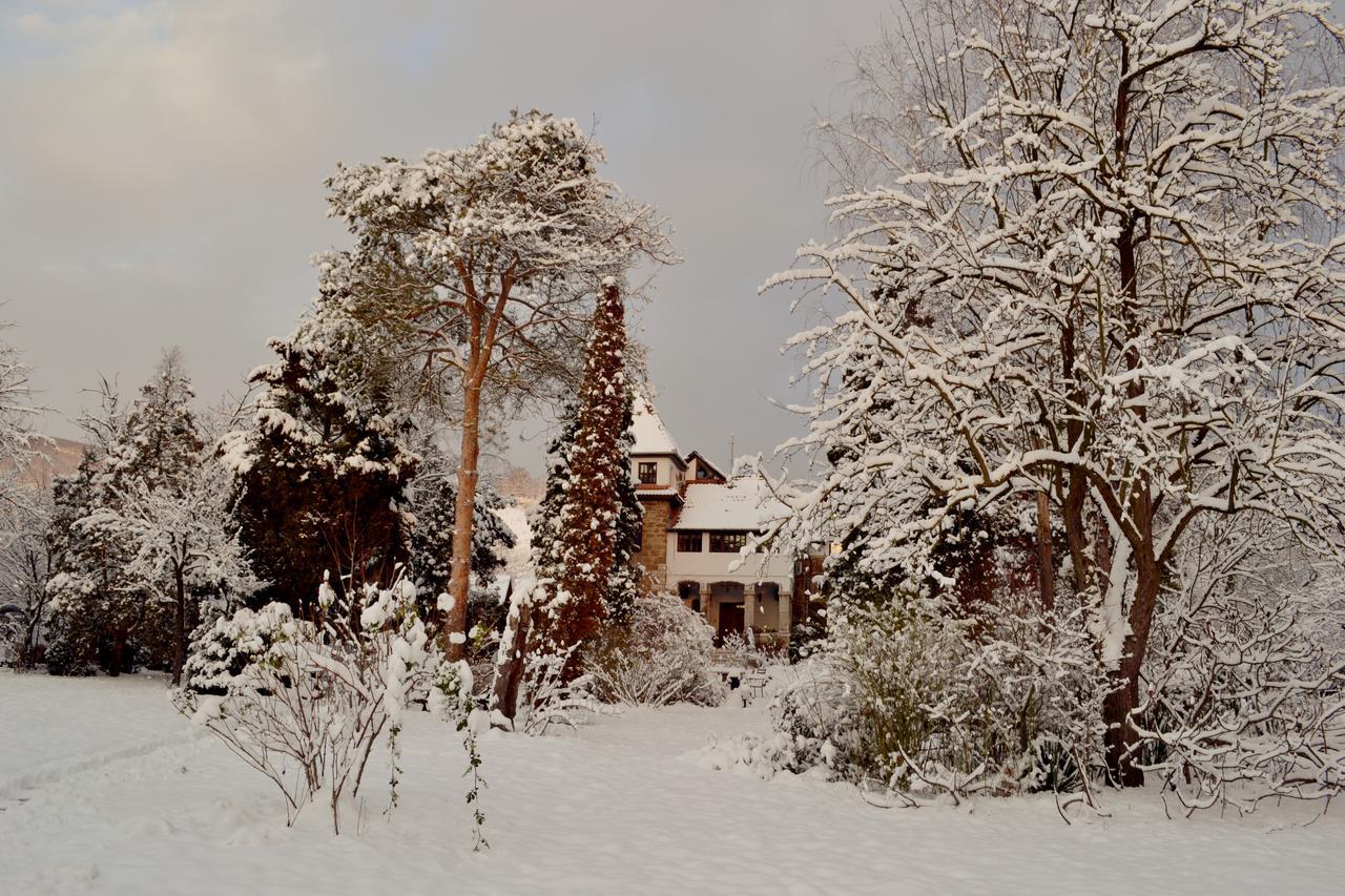 Villa Castelul Maria Banpotoc Eksteriør billede